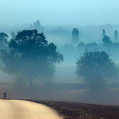 Morning dog walk near Kedleston Hall, Derbyshire, United Kingdom