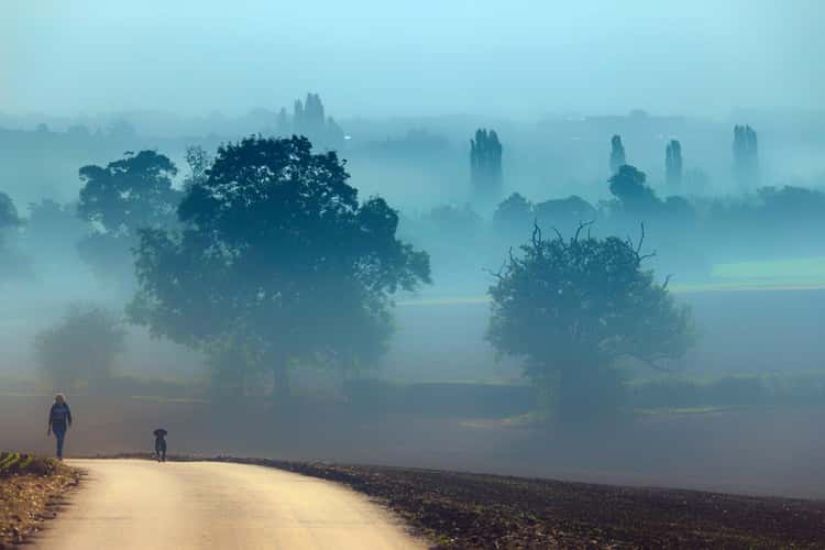 Morning dog walk near Kedleston Hall, Derbyshire