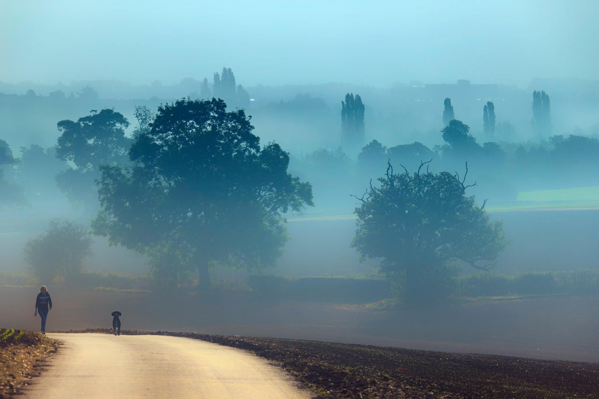 Morning dog walk near Kedleston Hall, Derbyshire, United Kingdom