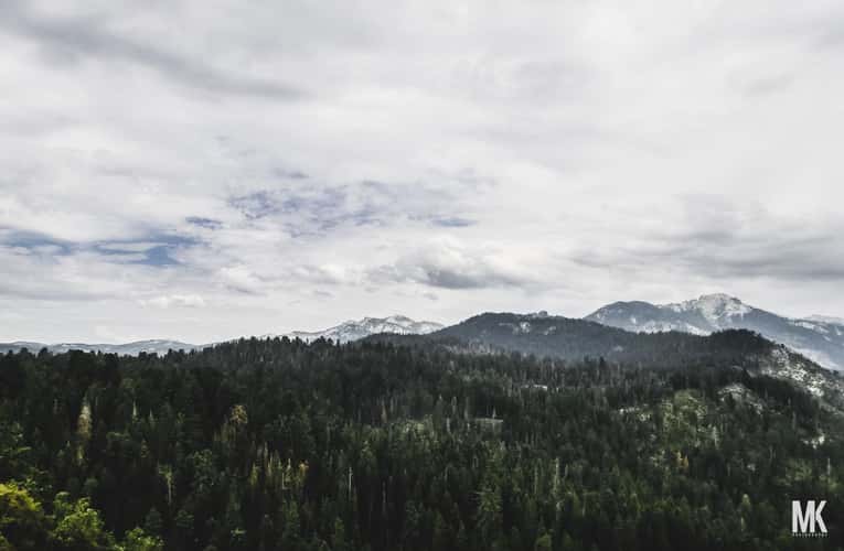 Moro Rock Trail