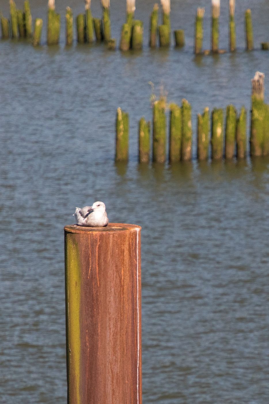 Mouth of the Columbia River, USA