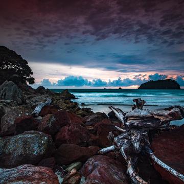 Mt Maunganui Log sunrise Tauranga North Island, New Zealand