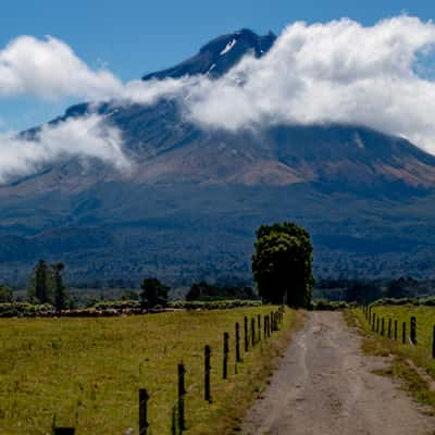 Mt Taranaki Pano North Island, New Zealand