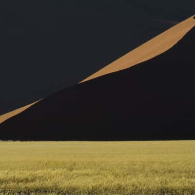 Near dune 45, Sossusvlei, Namibia