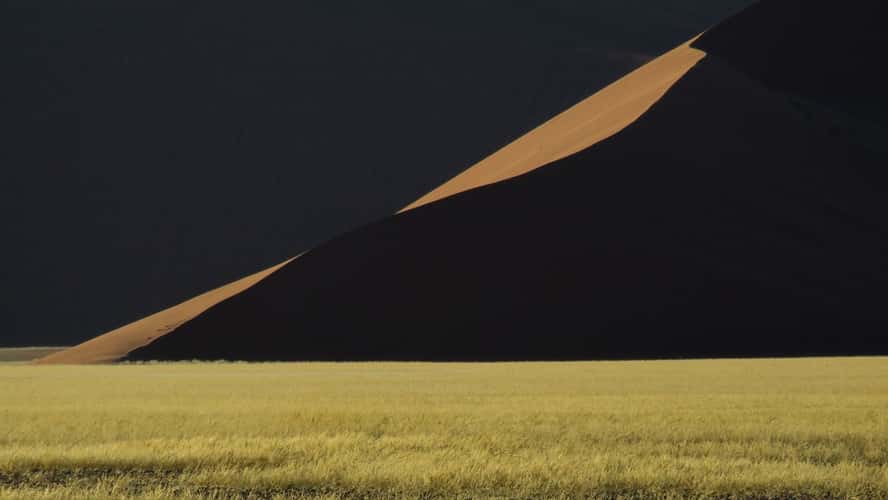 Near dune 45, Sossusvlei