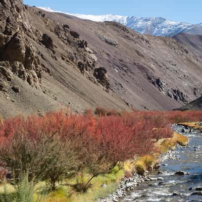 Near Tso Moriri lake, India