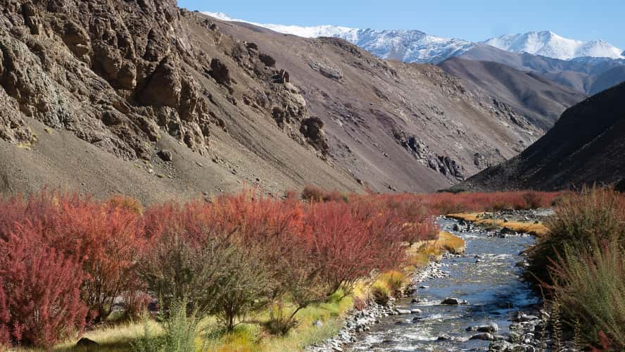 Near Tso Moriri lake