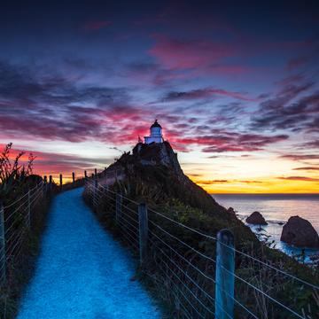 Nugget Point Lighthouse path Sunrise South Island, New Zealand