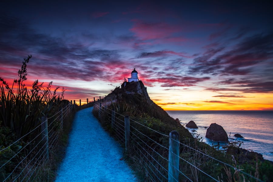 Nugget Point Lighthouse path Sunrise South Island, New Zealand
