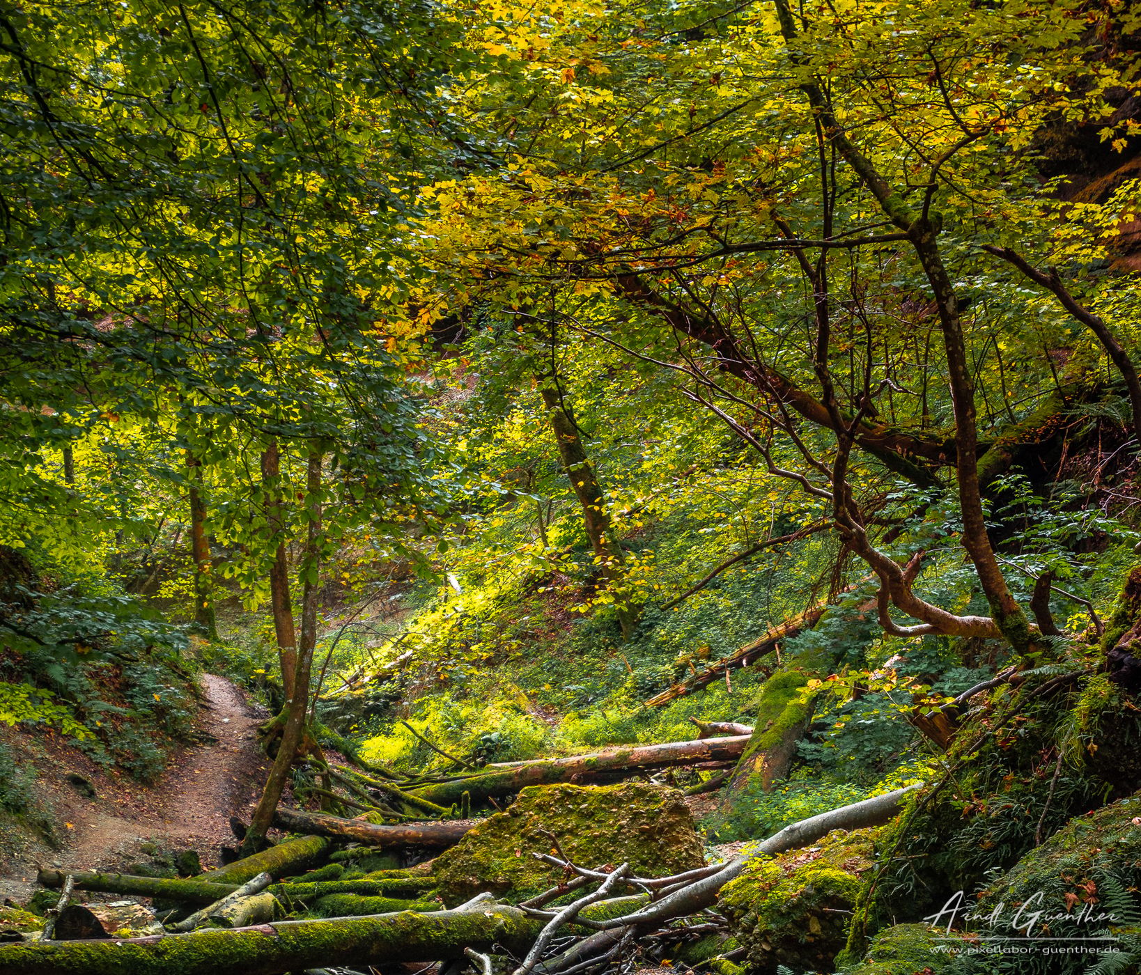 Pähler Gorge, Germany