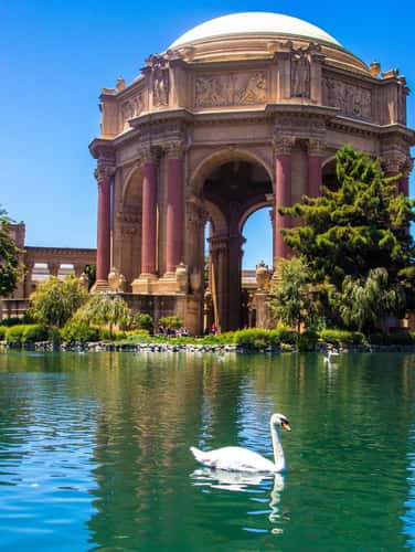 palace of fine arts san francisco
