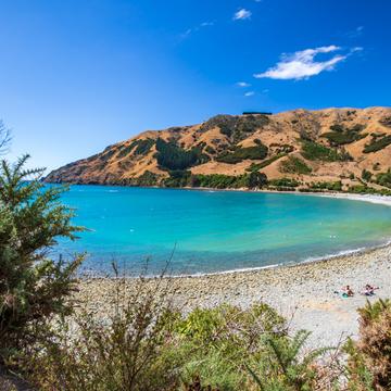 Pepin Island Cable Bay Nelson South Island, New Zealand