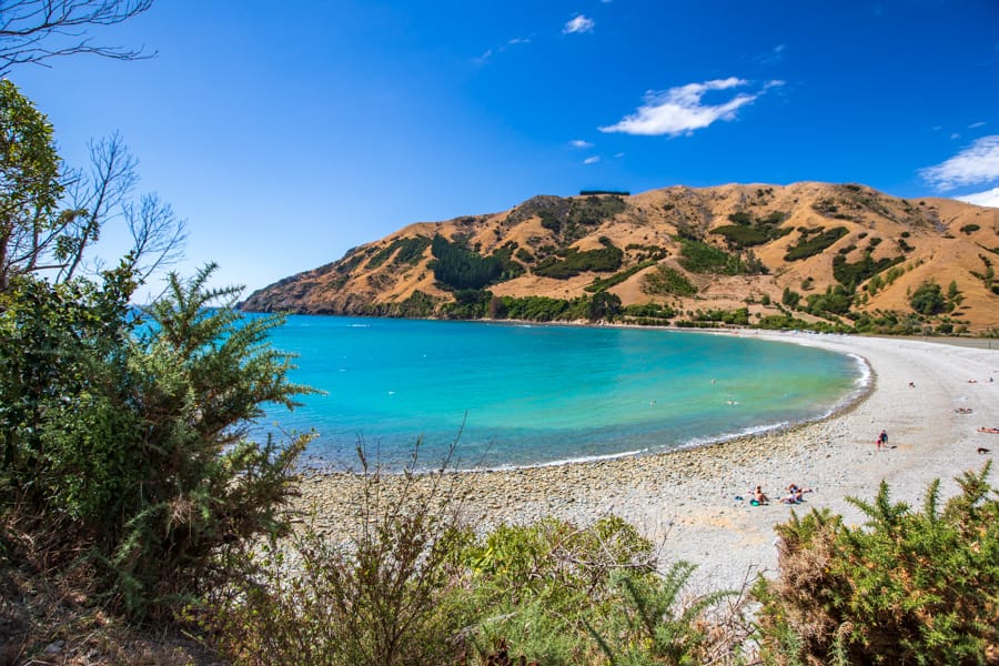 Pepin Island Cable Bay Nelson South Island, New Zealand