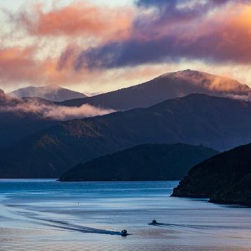 Picton Sunrise with ferry arriving South Island, New Zealand