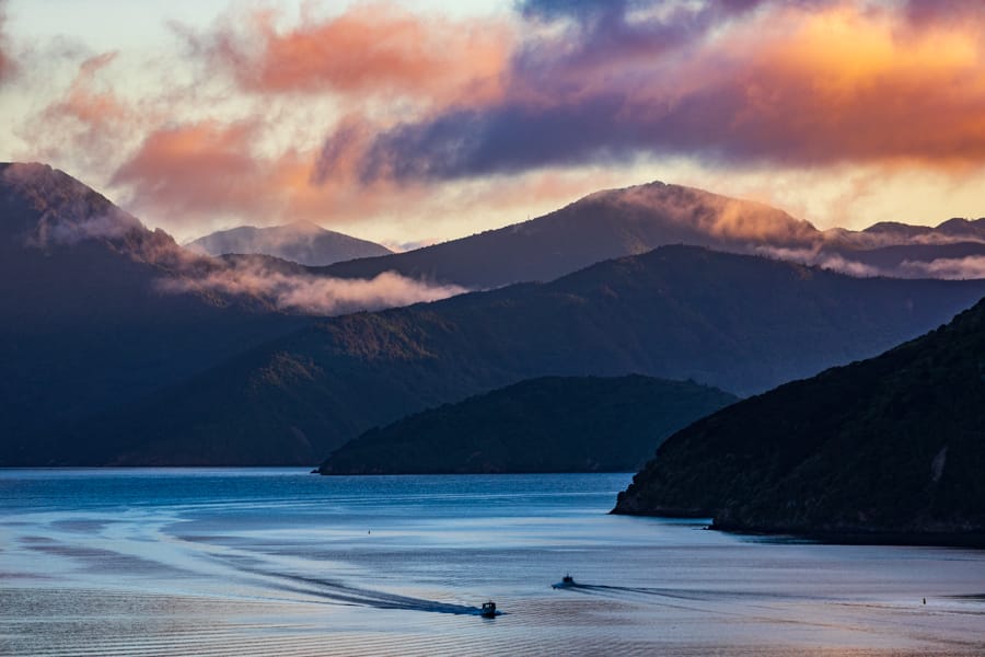Picton Sunrise with ferry arriving South Island, New Zealand