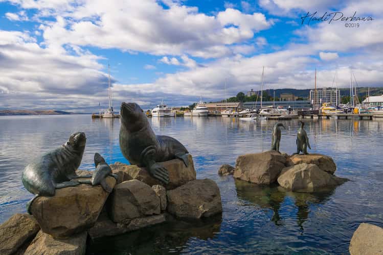 Port Of Hobart