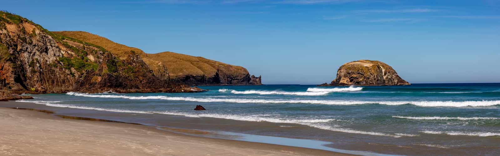 Portobello, Cape Saunders beach Dunedin