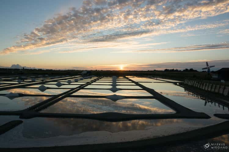 Salines des Noirmoutiers