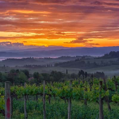 San Gimignano Sunrise, Italy