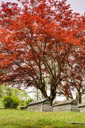 Sleepy Hollow Cemetery