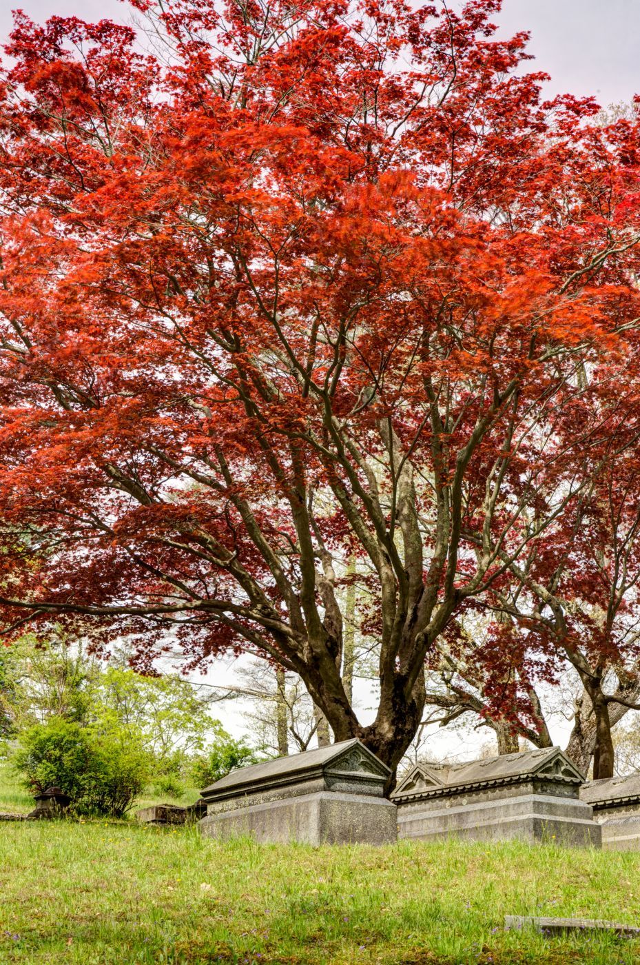 Sleepy Hollow Cemetery, USA