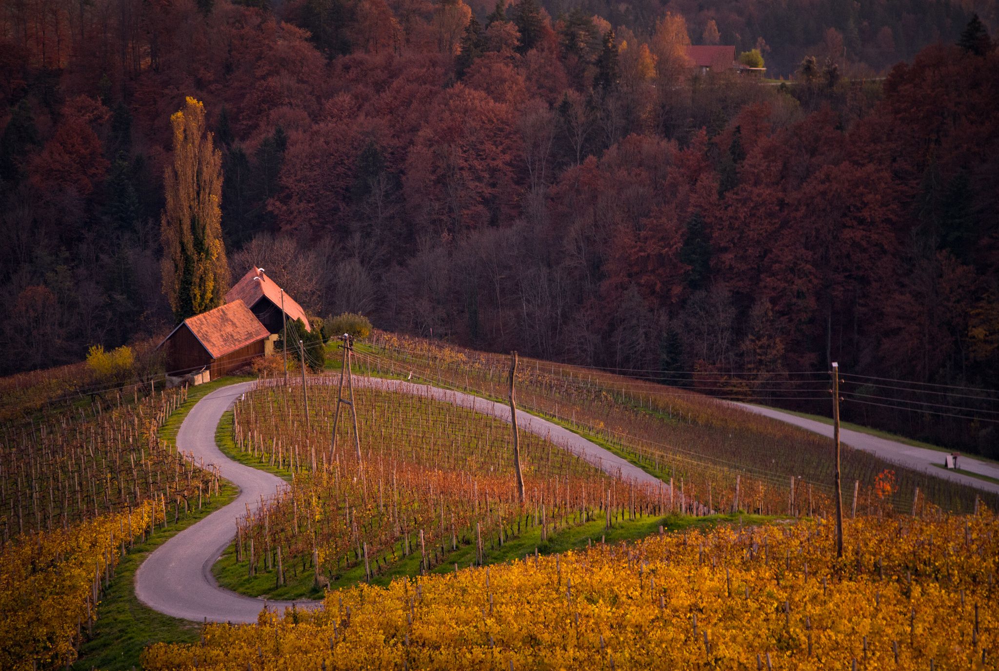 S(Love)nia, Slovenia