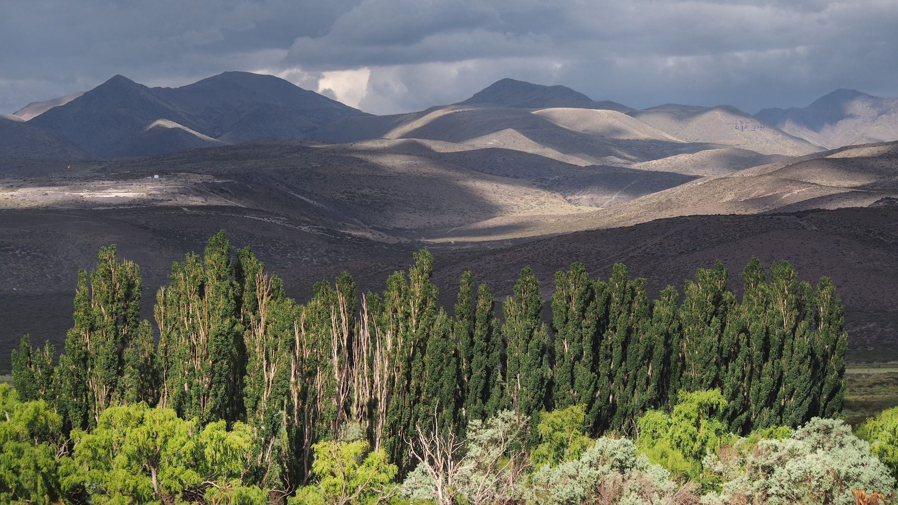 south Mendoza, Argentina