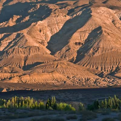 south Mendoza, Argentina