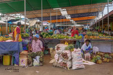 Suva The Capital of Fiji