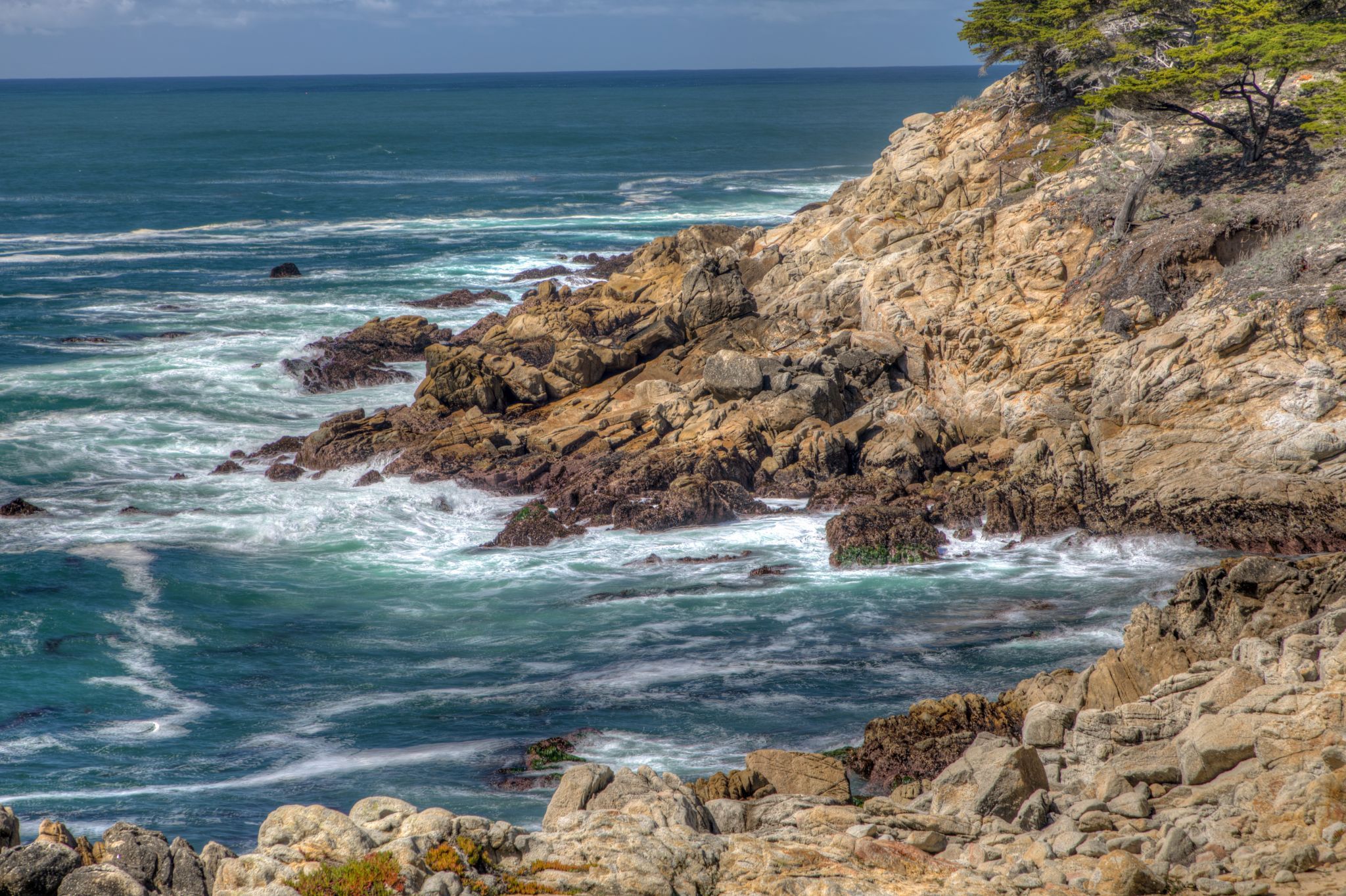 The Lone Cypress, Pebble Beach, USA