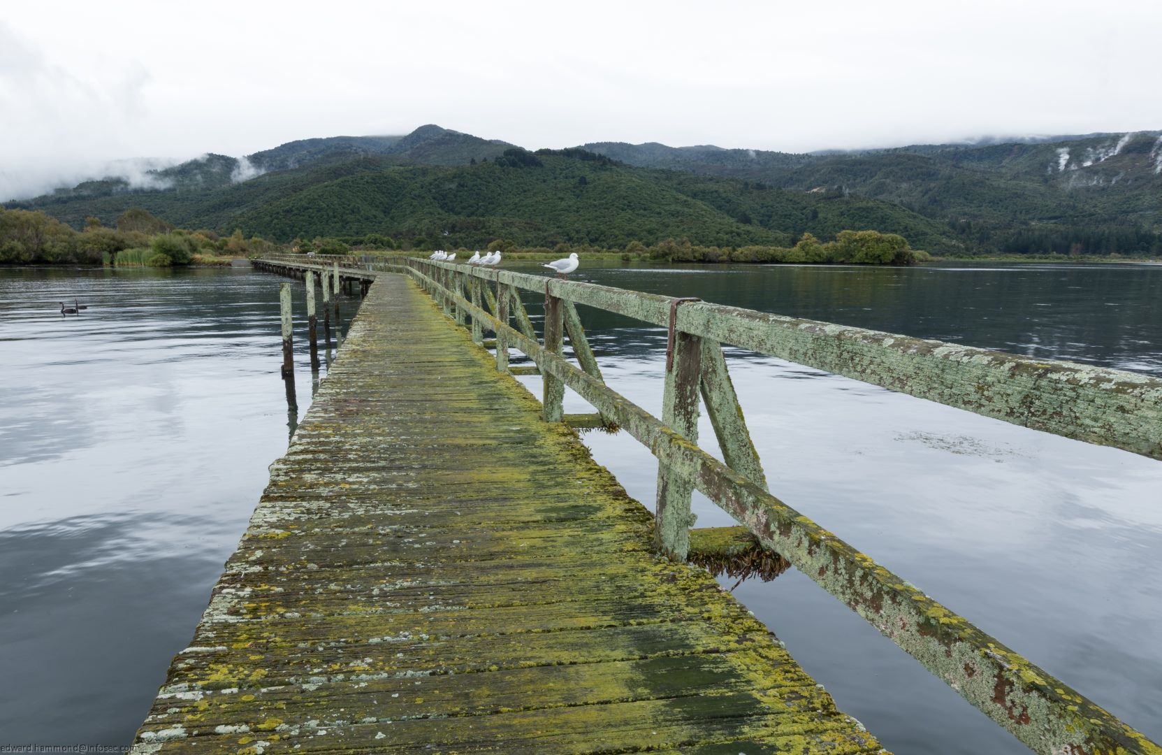 Tokoaanu Old Wharf, New Zealand