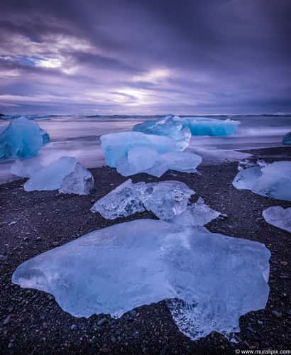 Turtle Iceberg on the beach