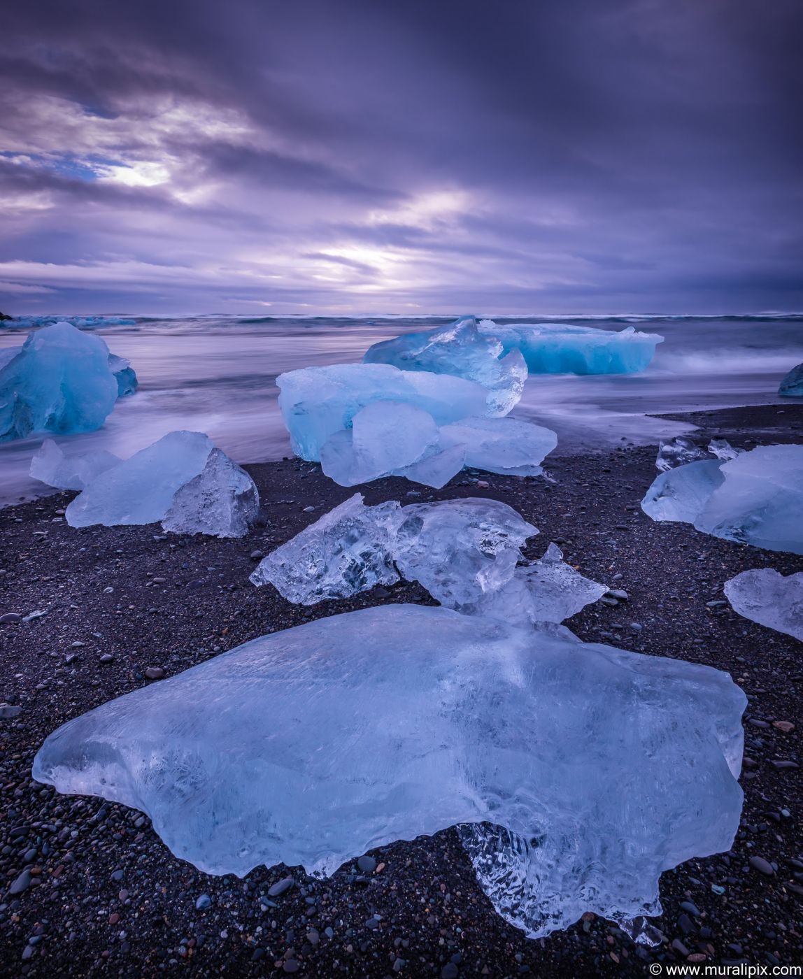 Turtle Iceberg on the beach, Iceland