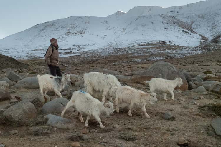 Upper Tso Moriri lands