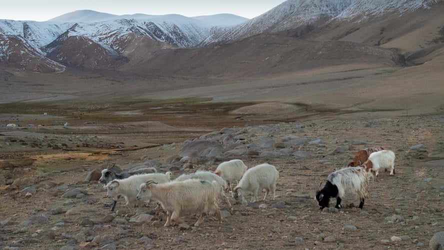 Upper Tso Moriri lands