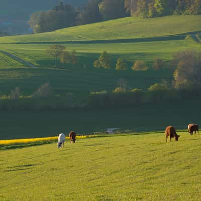 Upperlands of Nyon, Switzerland