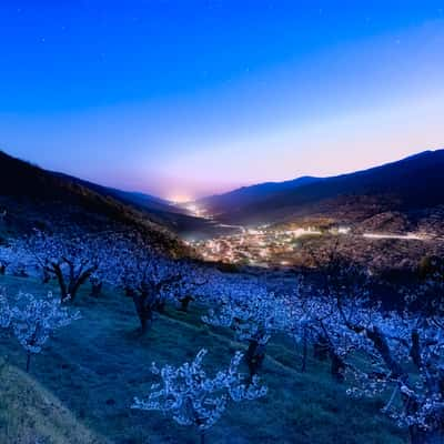 Valle del Jerte, Spain