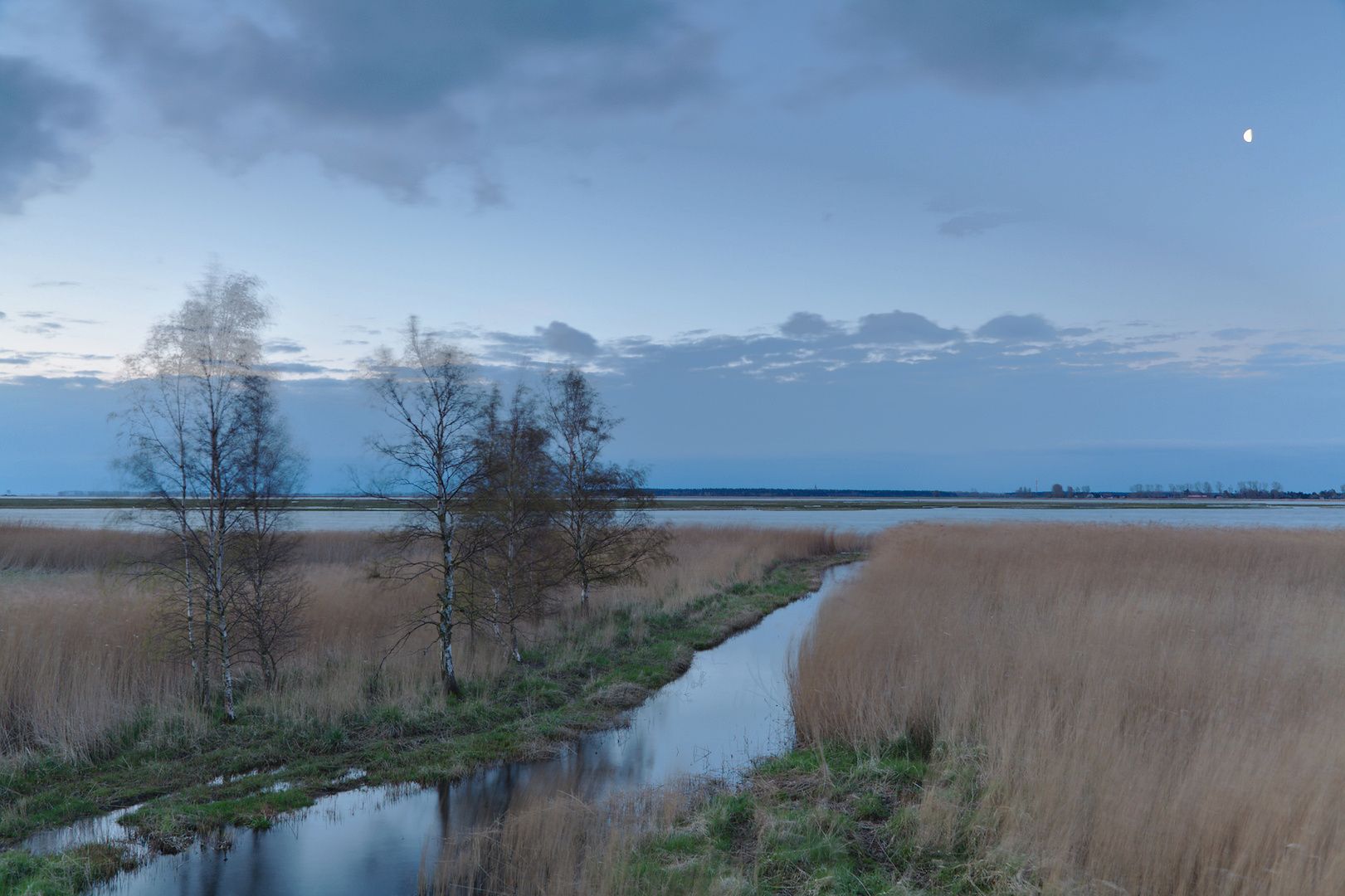 View towards island Kirr close to  Zingst, Germany