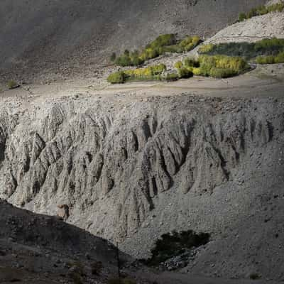 way down to Nubra valley, India