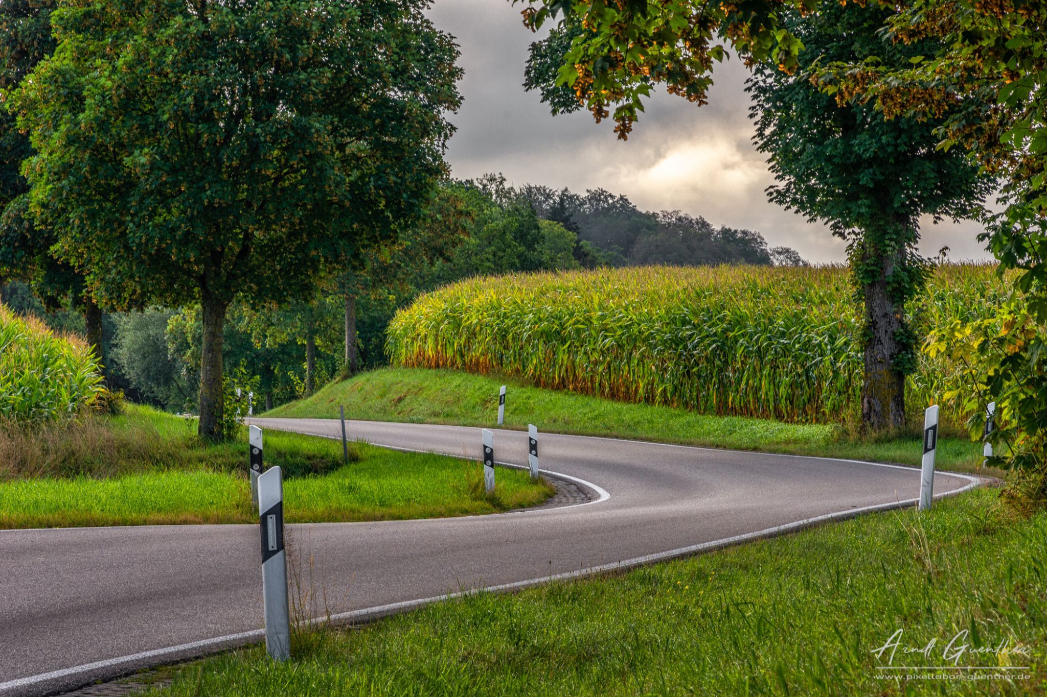 Winding Road, Germany