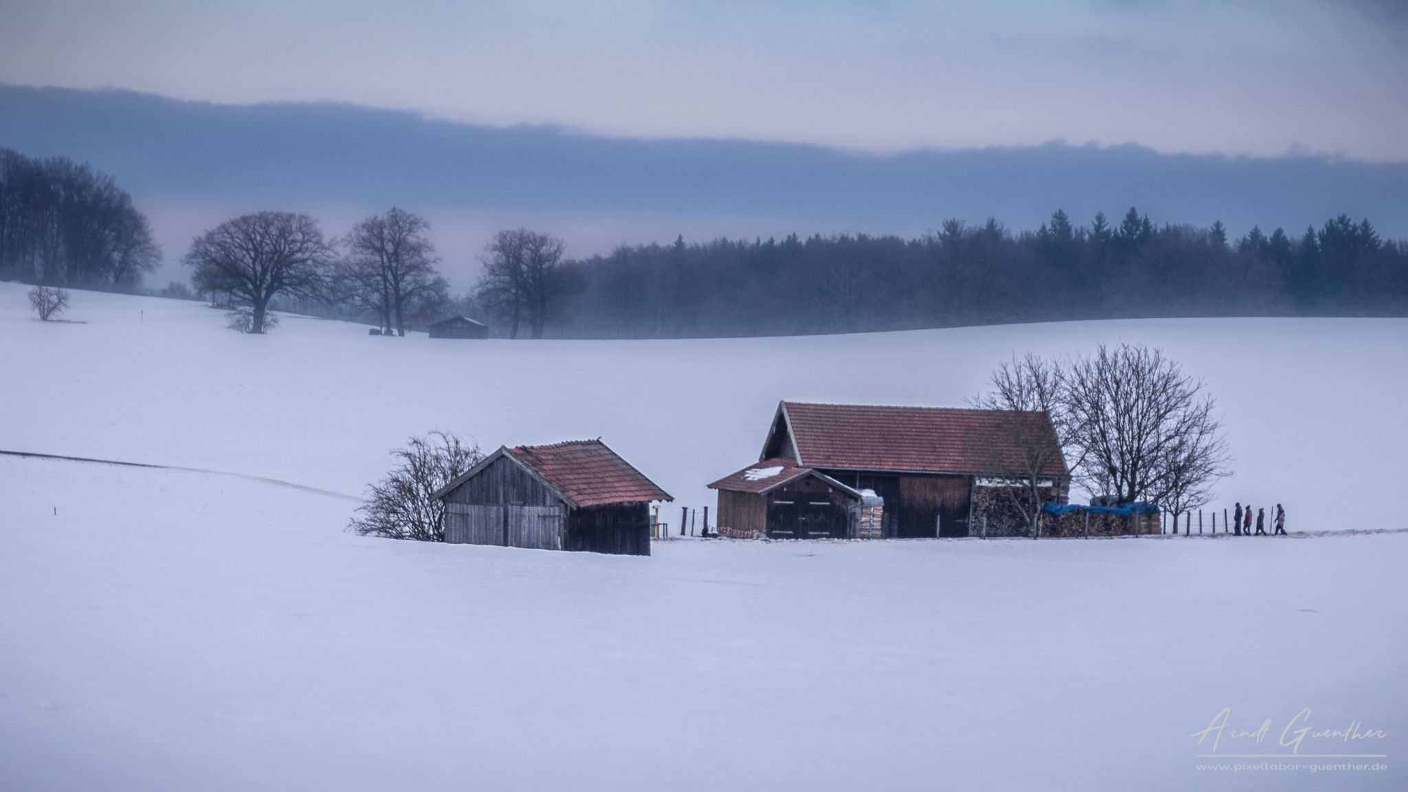 Winter in Erling, Germany
