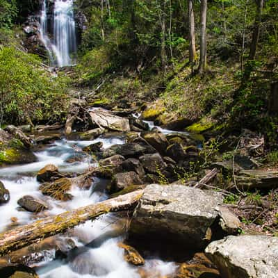 Anna Ruby Falls, USA