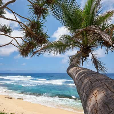 Beach at Port Resolution, Vanuatu