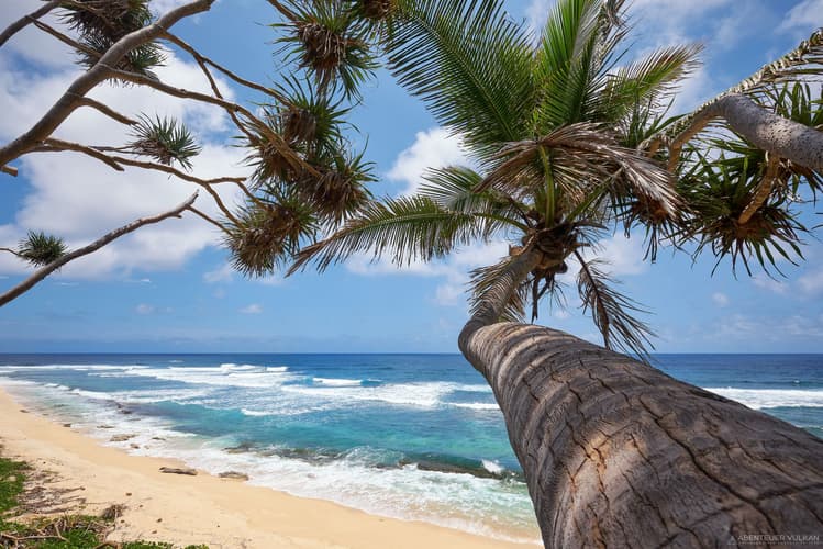 Beach at Port Resolution