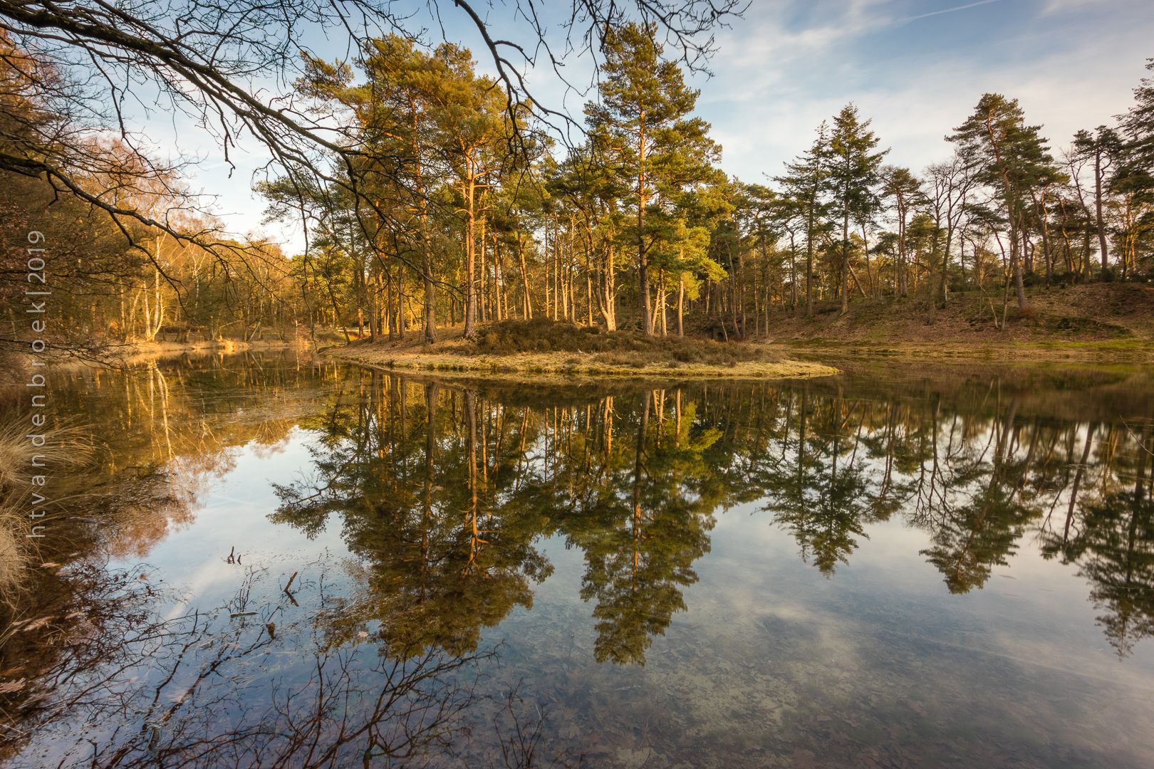 Birkhoven forest pond, Netherlands