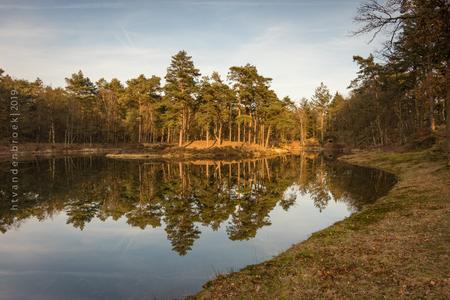Birkhoven forest pond