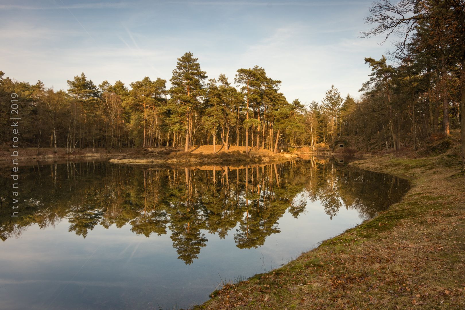 Birkhoven forest pond, Netherlands