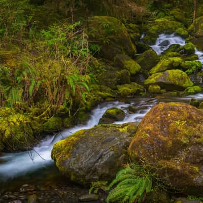 Bunch Creek Falls, USA