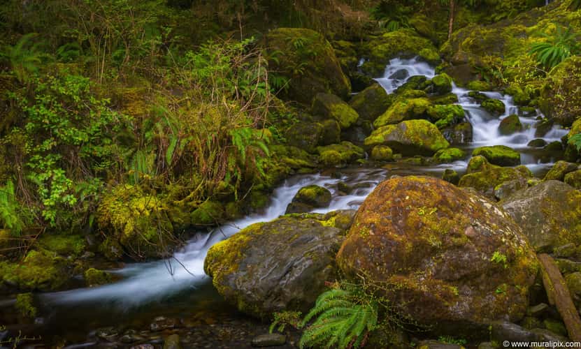 Bunch Creek Falls