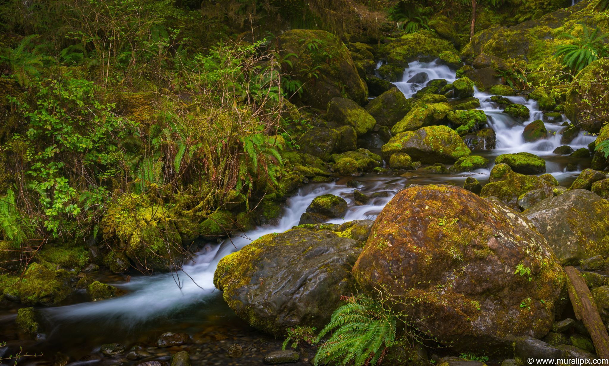 Bunch Creek Falls, USA